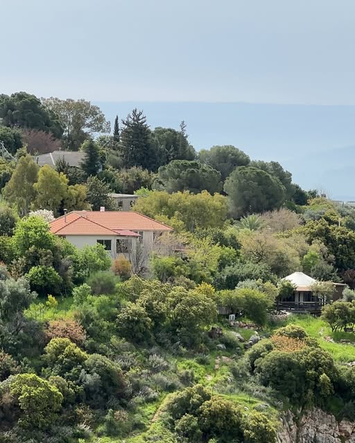 אזמרה אמירים ריטריט מורן פרי בניית אתרים ועיצובם (2)